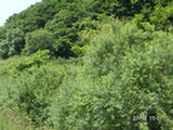 0507243s.jpg