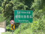 0507264s.jpg