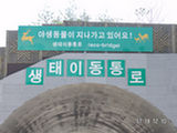 0507270s.jpg
