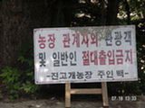 0507289s.jpg