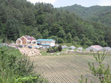 0507290s.jpg