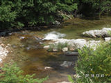 0507296s.jpg