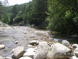 0507300s.jpg