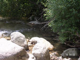 0507301s.jpg