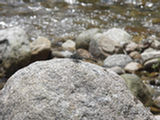0507302s.jpg