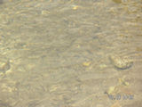0507341s.jpg