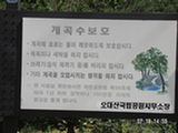 0507347s.jpg
