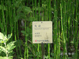 0507389s.jpg
