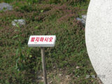 0507414s.jpg
