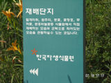 0507415s.jpg