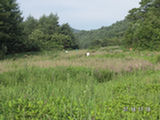0507417s.jpg