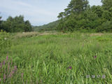 0507418s.jpg
