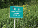 0507420s.jpg
