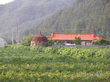 0507432s.jpg