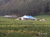 0507433s.jpg