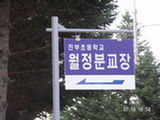 0507434s.jpg