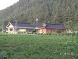 0507439s.jpg