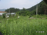 0507448s.jpg