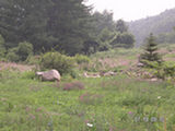 0507449s.jpg
