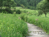 0507450s.jpg