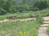 0507454s.jpg