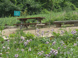 0507457s.jpg