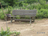 0507458s.jpg