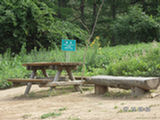 0507459s.jpg