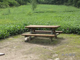 0507461s.jpg