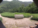 0507463s.jpg