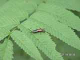 0507468s.jpg