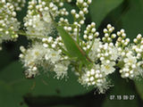 0507470s.jpg