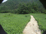 0507472s.jpg