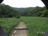 0507473s.jpg
