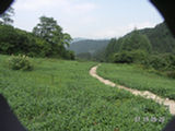 0507474s.jpg