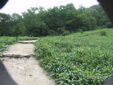 0507475s.jpg