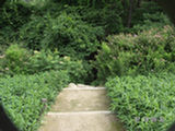 0507477s.jpg