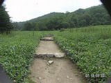 0507479s.jpg