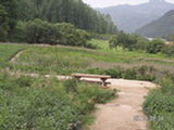 0507481s.jpg