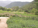0507482s.jpg