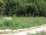 0507492s.jpg