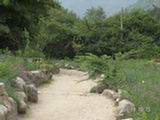 0507530s.jpg