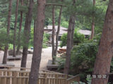 0507539s.jpg