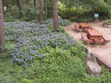 0507540s.jpg