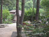 0507542s.jpg