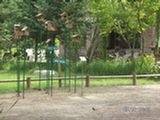0507544s.jpg
