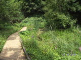 0507550s.jpg