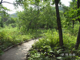 0507551s.jpg