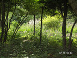 0507552s.jpg