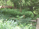 0507559s.jpg
